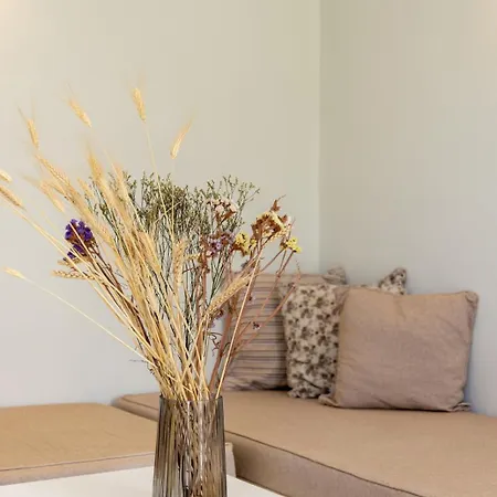 Soulmate's Tinos Apartment