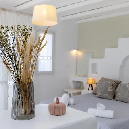 Soulmate's Tinos Διαμέρισμα Κιόνια